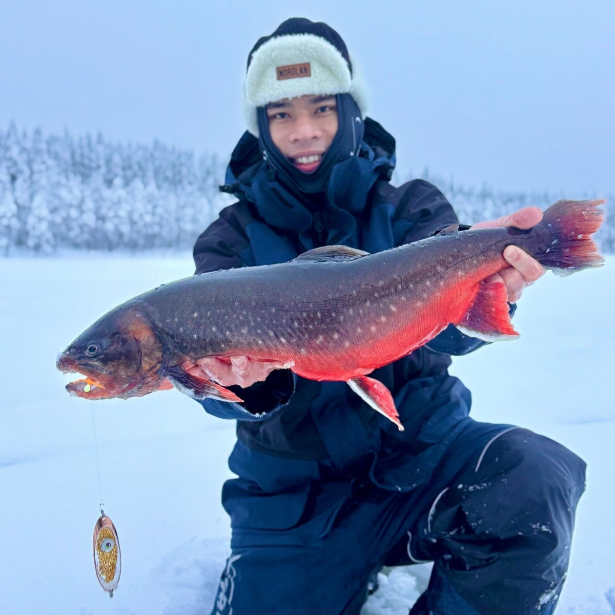Norolan Arctic Light Original LED 6 cm: blinkpirk med utbytbar Led